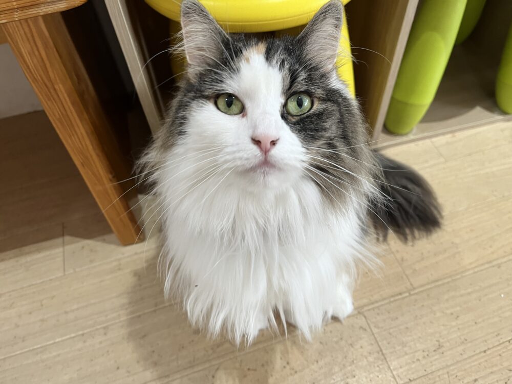 のびのび🙌木曜日