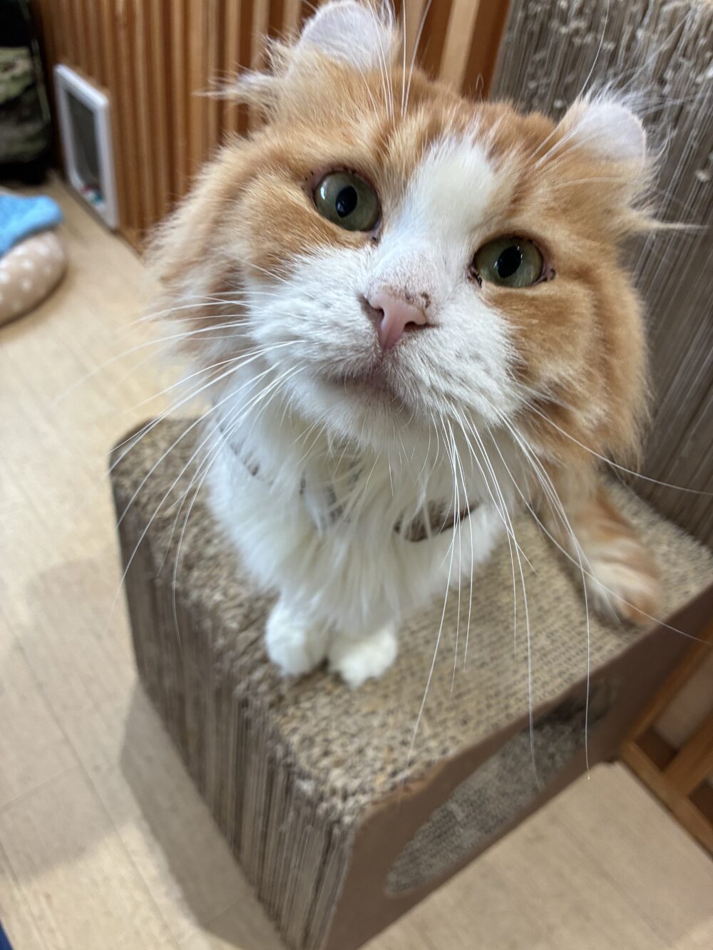甘える金曜日♡