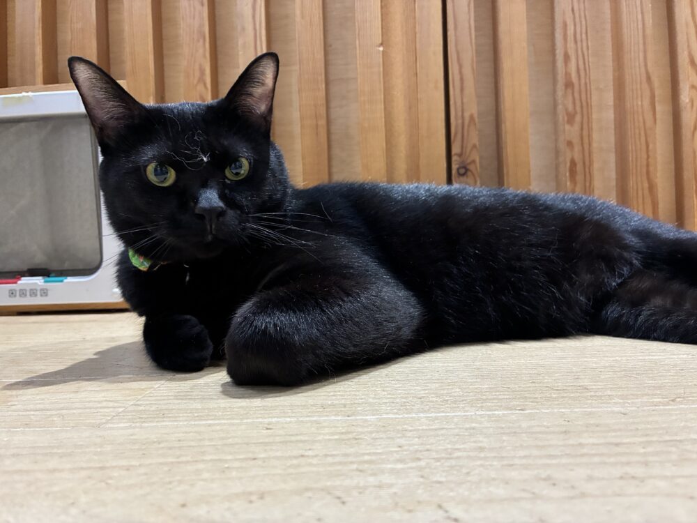 ダラダラ月曜日☔️嬉しいお知らせも
