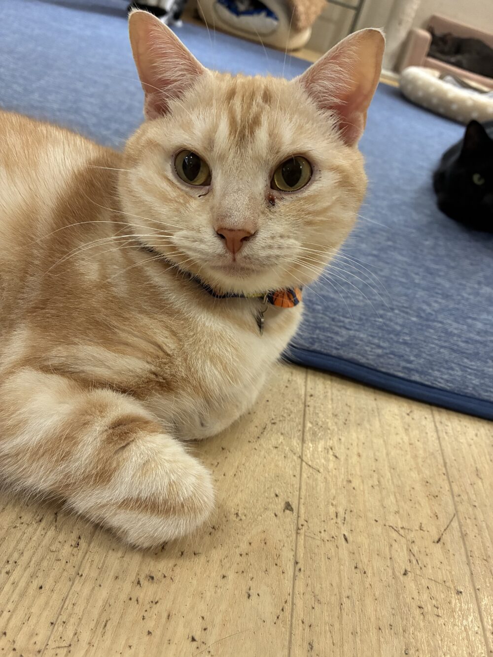 どんより土曜日☔️