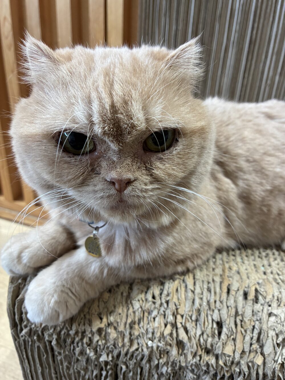 ゆったり土曜日😁