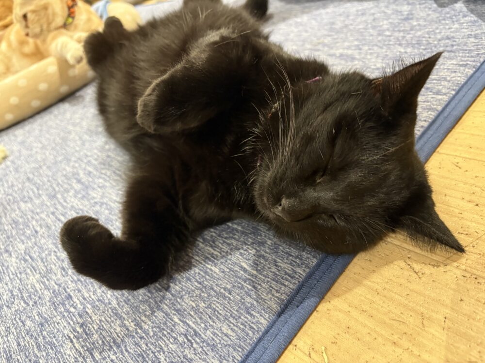 もくもく☁️火曜日
