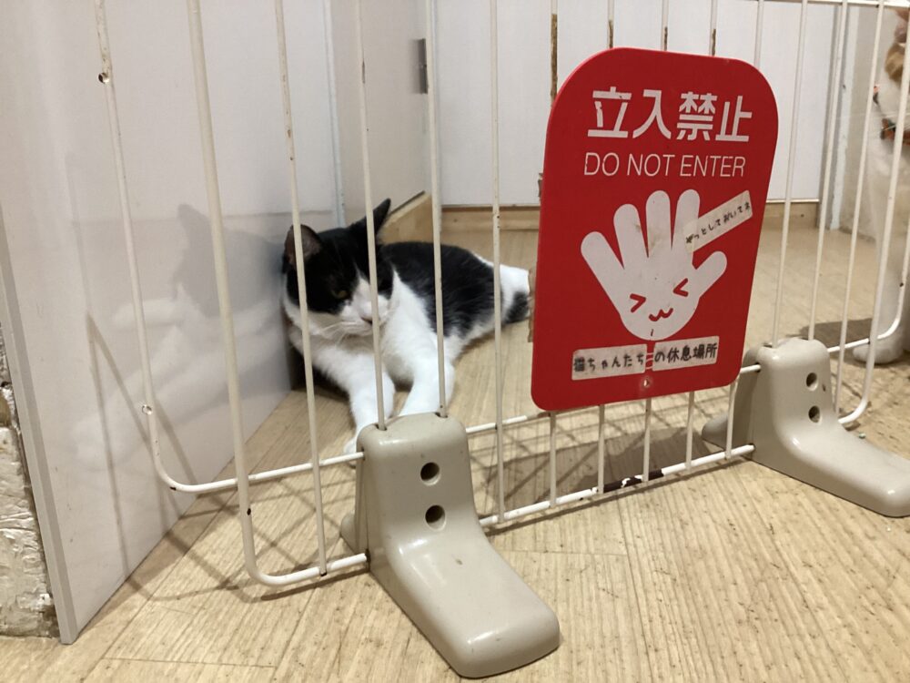 どんより金曜日